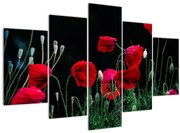 Tablou - Dansul macilor (150x105 cm)