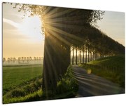 Tablou cu alee (90x60 cm)