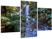 Tablou cu pădurea ploilor din Austalia (90x60 cm)