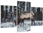 Tablou - cerbul iarna (90x60 cm)
