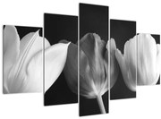 Tablou - Lalele alb negre (150x105 cm)