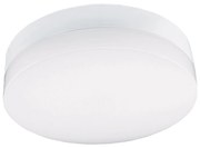 Plafonieră LED pentru baie LED/12W/230V 3000/4000/6000K d. 22 cm IP44