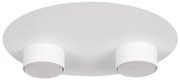 Plafonieră STAR 2xGX53/12W/230V alb
