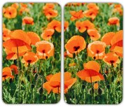 Plăci de protecție din sticlă pentru aragaz, POLE MAKU - 2 bucăți, WENKO