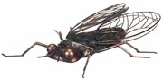 Decor de grădină din metal Fly, 36 x 28 x 9 cm