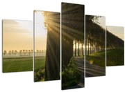 Tablou cu alee (150x105 cm)