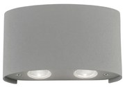 Aplică LED de exterior CARLO 4xLED/0,8W/230V IP54 Paul Neuhaus 9487-21