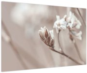 Tablou - Detaliu ramură (90x60 cm)