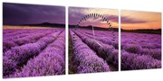 Tablou - Câmp de lavandă la apus de soare (cu ceas) (90x30 cm)