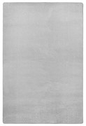 Covor gri deschis 160x240 cm Fancy – Hanse Home