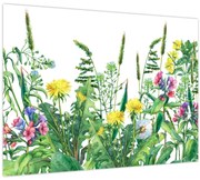 Tablou pe sticlă - Flori de pajiște pictate (70x50 cm)