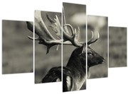 Tablou - Cerb (150x105 cm)