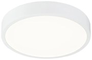 Globo 12364-22 - LED Lampă dimmabilă baie LED/22W/230V IP44