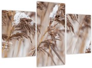 Tablou - Tei (90x60 cm)