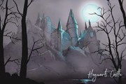 Poster de artă Harry Potter - Nocturnal Hogwarts Castlle