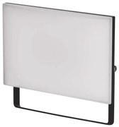 Proiector LED/30,5W/230V IP65