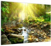 Tablou cu râul în pădurea verde (70x50 cm), în 40 de alte dimensiuni noi