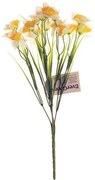 Narcis galben-alb, buchet cu 15 flori, înălțime 32cm