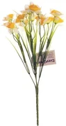 Narcis galben-alb, buchet cu 15 flori, înălțime 32cm