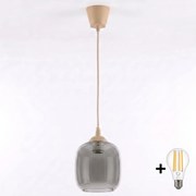 Brilagi - Lampă LED suspendată pe cablu R GLASS 1xE27/60W/230V Ø 14 cm, bej/gri fumuriu