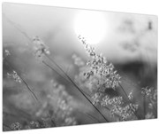 Tablou - Pajiște de toamnă (90x60 cm)