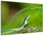 Tablou cu șopârlă (90x60 cm)