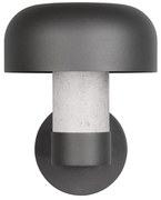 Corp de iluminat pentru exterior, de perete (înălțime 24,5 cm) Fraser – Trio