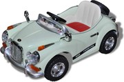 vidaXL Vehicul de Călărie Verde Plastic