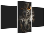 Tablou cu bufnița (90x60 cm)