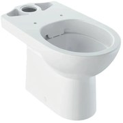 Vas WC pe pardoseala Geberit Selnova Rimfree alb lucios