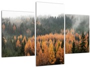 Tablou - Pădure toamna (90x60 cm)