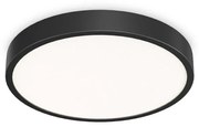 Plafoniera LED XL pentru baie IP44 Ray pl d60 negru