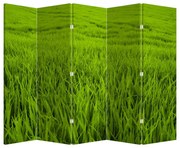 Paravan - Iaraba (210x170 cm)