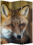 Paravan - Vulpe (126x170 cm)