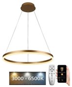 Lustră LED dimabilă pe cablu Brilagi CIRCLE LED/42W/230V 3000-6500K + telecomandă