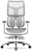 RESIGILAT- Scaun ergonomic SIHOO S100, cotiere 4D ultra moi, suport lombar adaptiv, spătar reglabil pe inaltime, sezut cu translatie, mecanism multifunctional inclinare/blocare, suport picioare, pivotant, Mesh, Gri