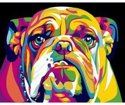 Pictura pe numere cu un cadru "Bulldog colorat" 50x40 cm