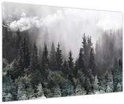 Tablou - Pădure cu elemente ilustrate (90x60 cm)