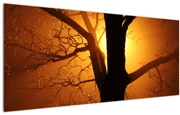 Tablou cu copac în apus de soare (120x50 cm)