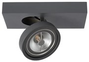 Lucide 09920/10/36 - LED Lampă spot dimmabilă NENAD AR111 G53/10W/18V