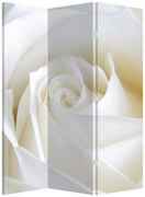 Paravan - Trandafir alb (126x170 cm)