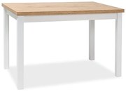 Masa dining Stejar Lancelot / Alb Mat, ADAM 100x60