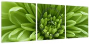 Tablou - Imagine macro a unei plante (cu ceas) (90x30 cm)