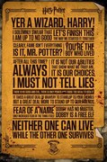 Poster Harry Potter - Quotes