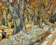 Reproducere The Large Plane Trees, Vincent van Gogh