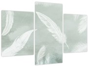 Tablou - Pene albe (90x60 cm)