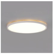 Plafonieră LED pentru baie NIVERA LED/24W/230V IP54 d. 30 cm alb
