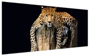 Tablou cu gepard (120x50 cm), în 40 de alte dimensiuni noi