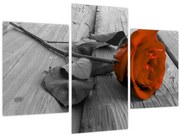 Tablou - Trandafir portocaliu (90x60 cm)