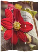 Paravan - Floare (126x170 cm)